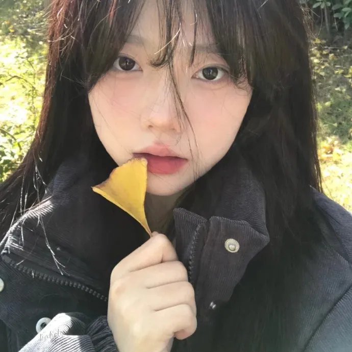 机密档案实录火蝴蝶